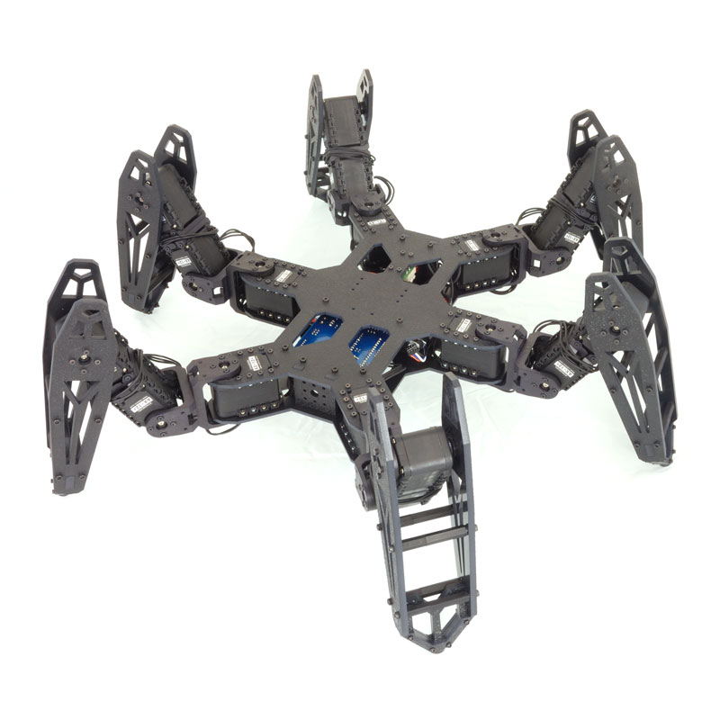 Hexapod Robot